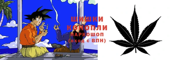 шишки Абинск