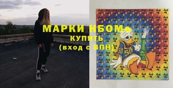 шишки Абинск