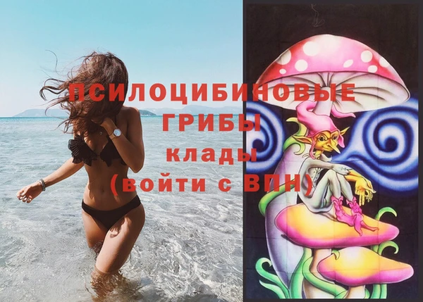 шишки Абинск