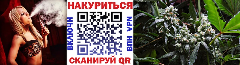 Канабис сатива  Сафоново 
